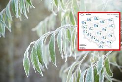 Nocne przymrozki. Na Podlasiu nawet do minus 5 st. Celsjusza