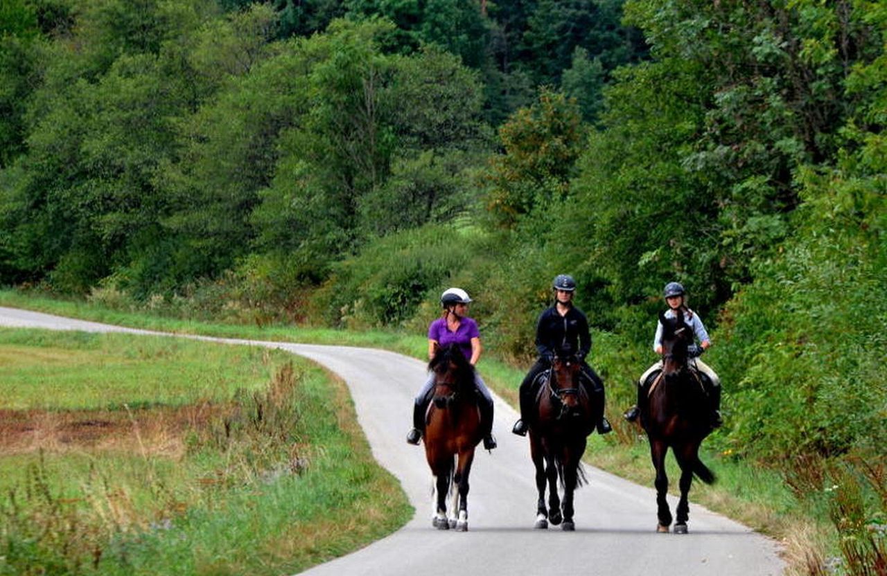 #moneypomaga. Folwark Toporzysko czeka na koniec pandemii. Czwarta fala to byłby problem