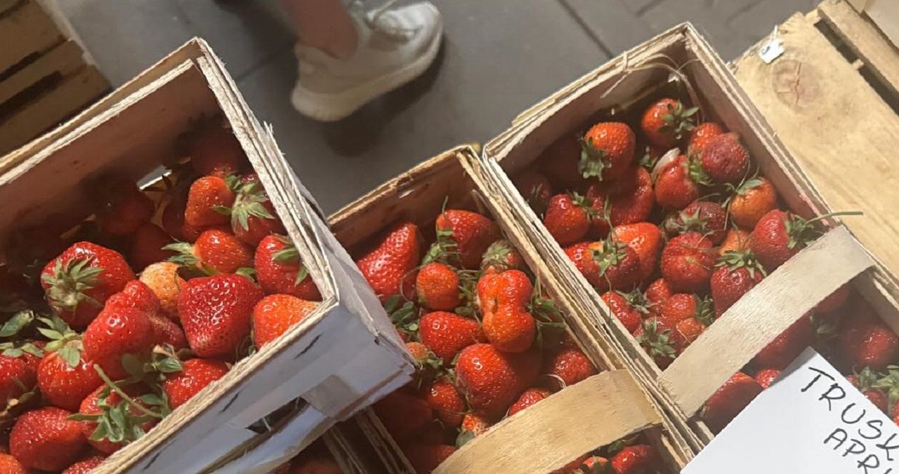 Truskawki tanieją? Zobaczcie zdjęcia i zrozumiecie, dlaczego