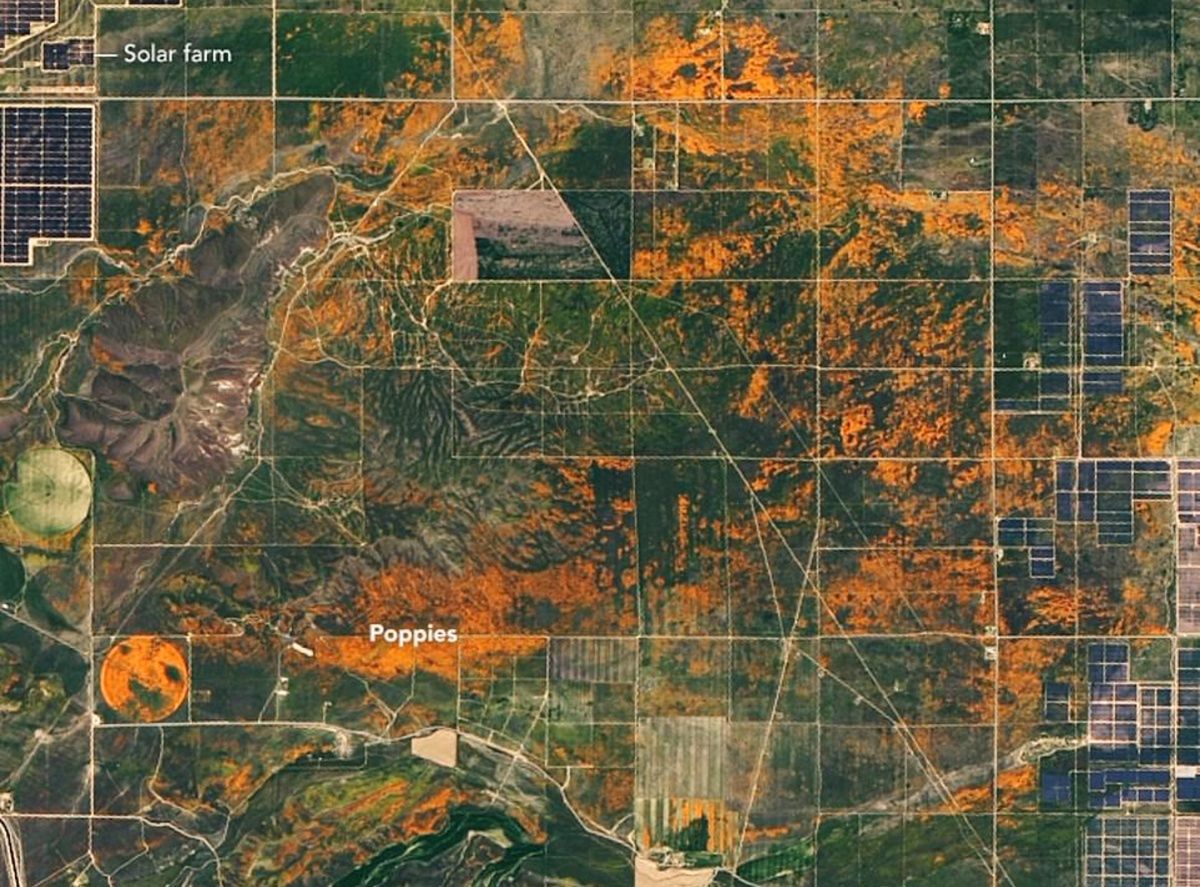 Kalifornia. Widok ze zdjęć satelitarnych NASA.