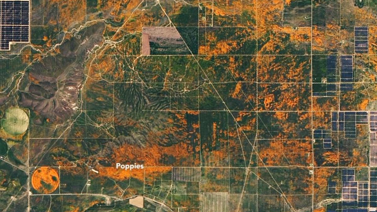 Kalifornia. Widok ze zdjęć satelitarnych NASA.