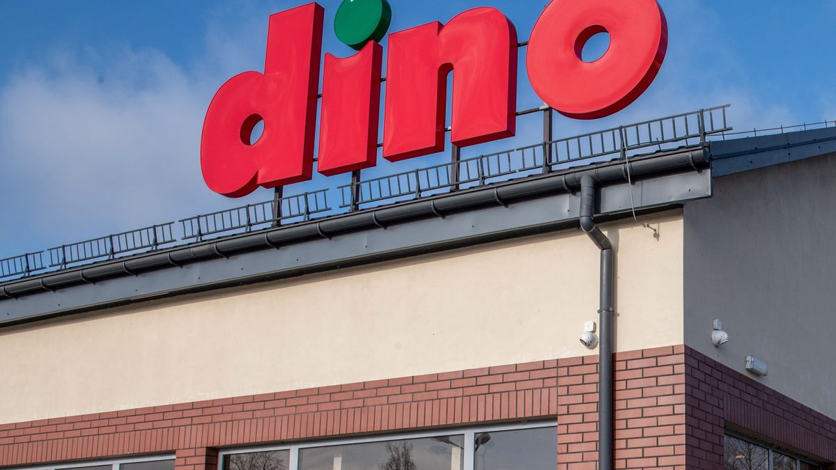 Promocje w Dino
