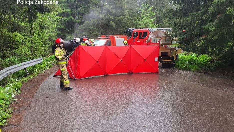 Zakopane. Wypadek zaprzęgu na drodze do Morskiego Oka