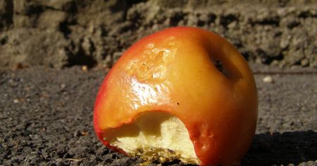 WTF dnia: Apple przedstawia nowego iPhone'a. Takiego samego jak stary [wideo]