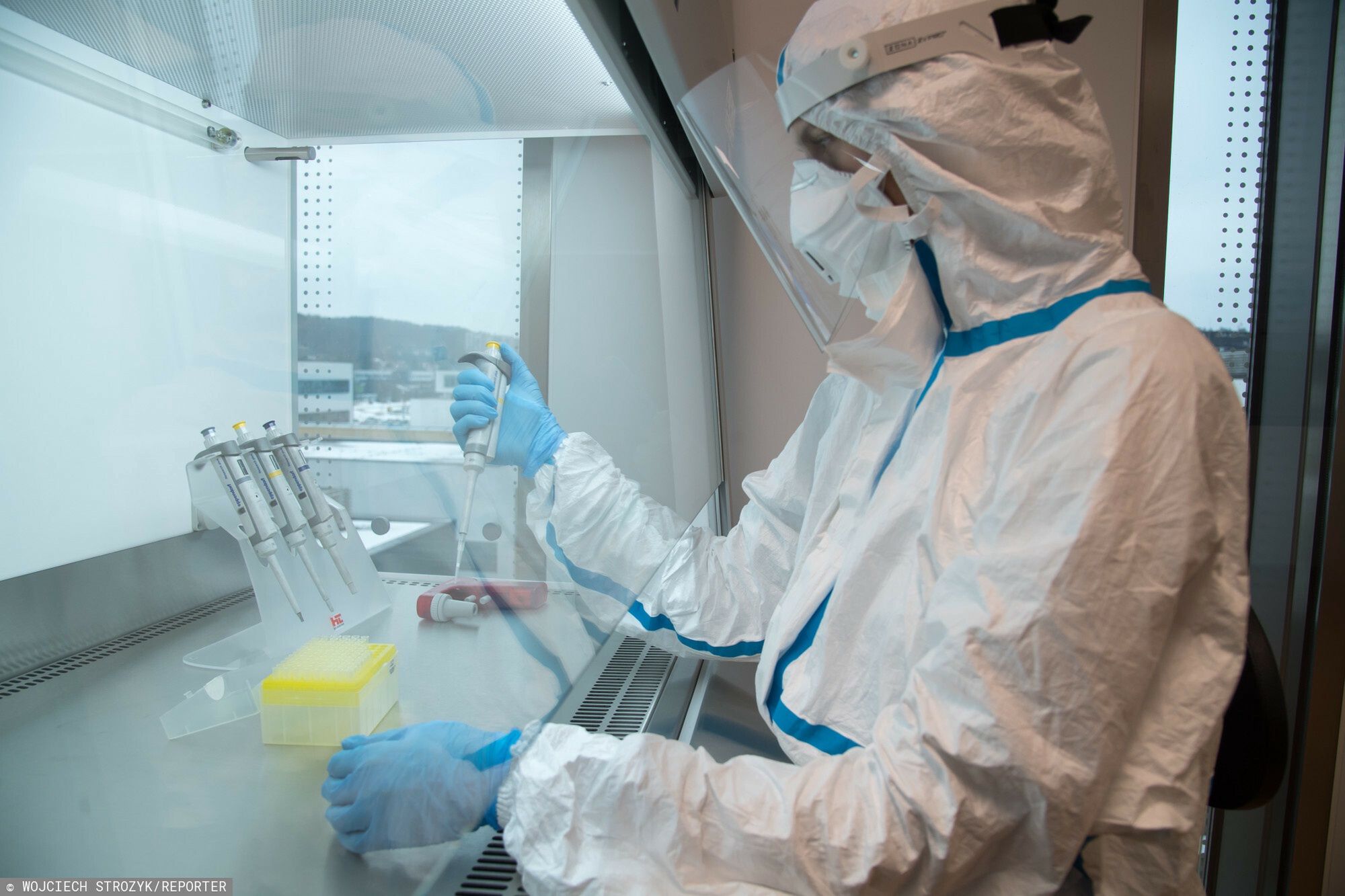 Otwarcie laboratorium wirusologicznego klasy BSL3+ w Gda?sku
22.01.2024 Gdansk Miedzyuczelniany Wydzial Biotechnologii Uniwersytet Gdanski Gdanski Uniwersytet Medyczny Otwarcie laboratorium wirusologicznego klasy bezpieczenstwa biotechnologicznego BSL3+ najnowoczesniejszego w Polsce do badan nad patogenami wirusowymi w celu tworzenia szczepionek i lekow przeciwwirusowych
Fot. Wojciech Strozyk/REPORTER
Wojciech Strozyk/REPORTER