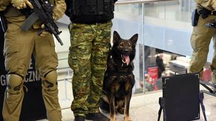 Płacą 6 tys. na rękę i dopłacają do mieszkania. Szukają 2 tys. osób