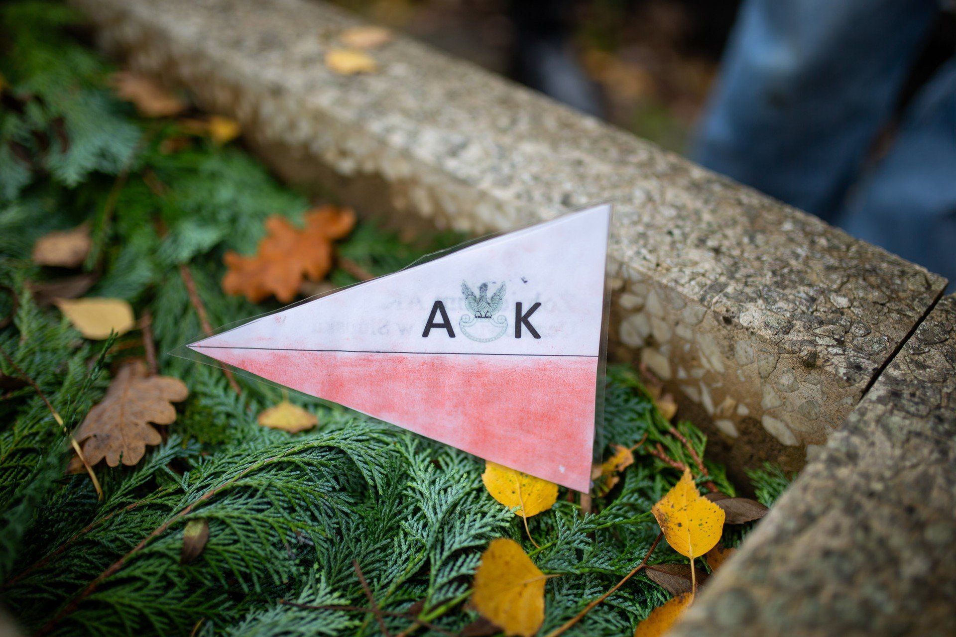 Młodzież ze Słupska i Wrześcia uczciła pamięć żołnierzy AK