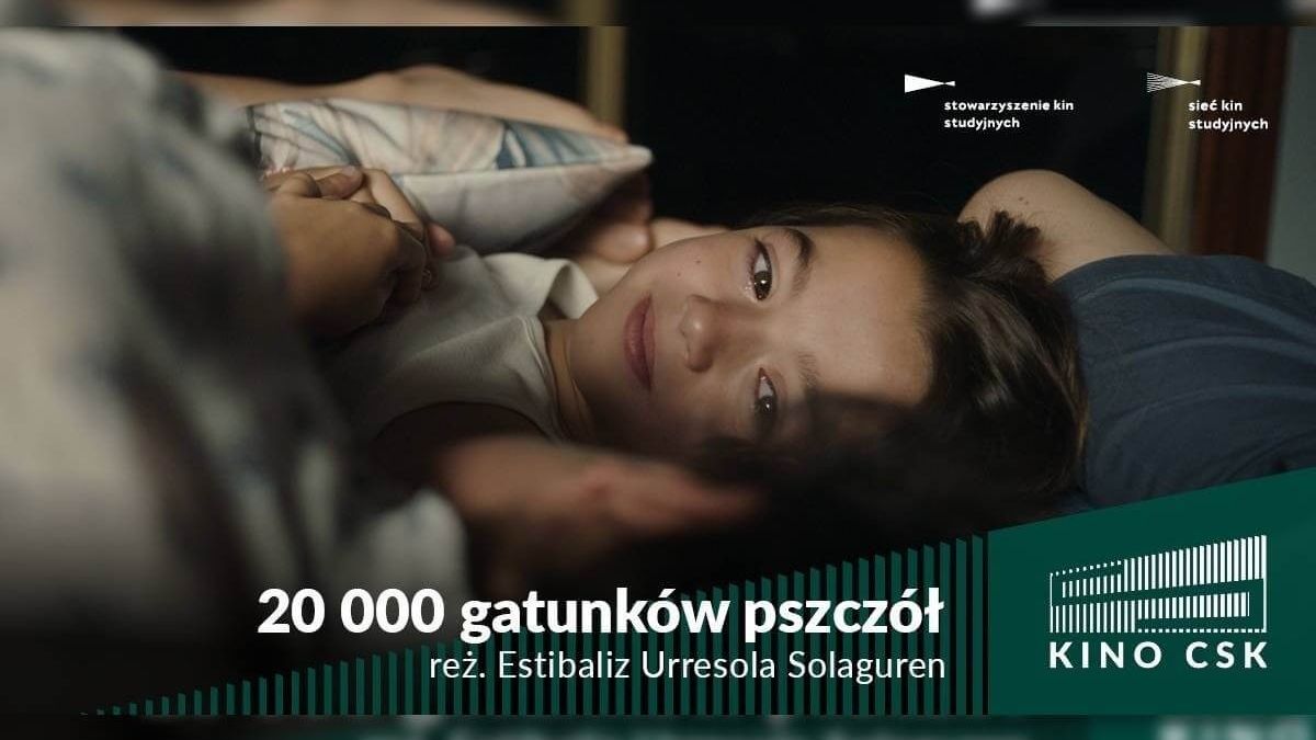 grafika „20 000 gatunków pszczół” - KINO CSK
