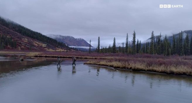 Ruszyła bezpłatna wersja kanału BBC Earth