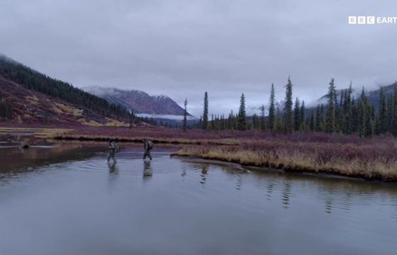 Ruszyła bezpłatna wersja kanału BBC Earth