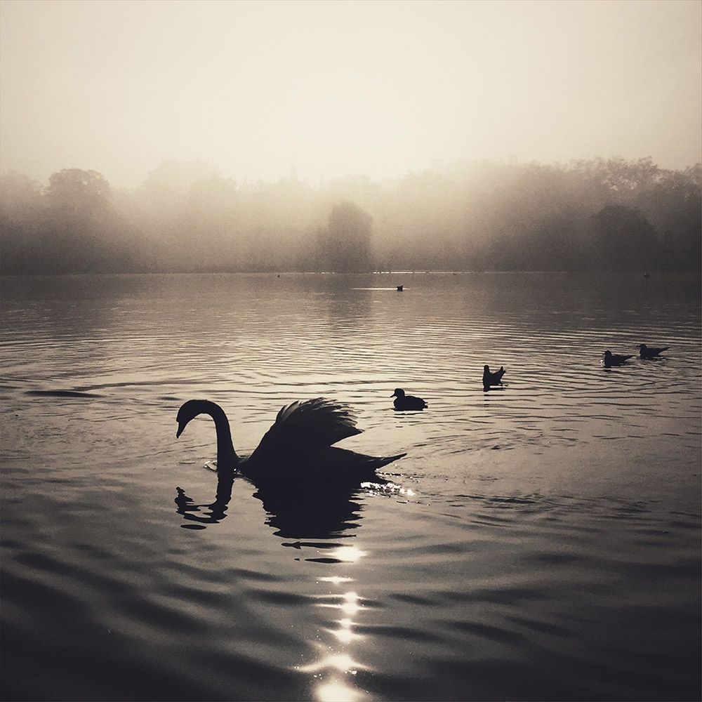 Fotografowanie telefonem może być sztuką – poznajcie zwycięzców Mobile Photography Awards 2015 21