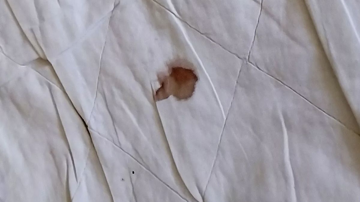 Hotel, do którego przyjechał Brytyjczyk, był w opłakanym stanie