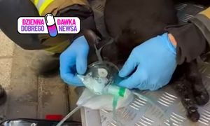 Leżał w płonącym mieszkaniu. Strażacy nie wahali się ani chwili