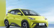 BYD Seagull - tani elektryk zebrał 10 tys. zamówień w jeden dzień