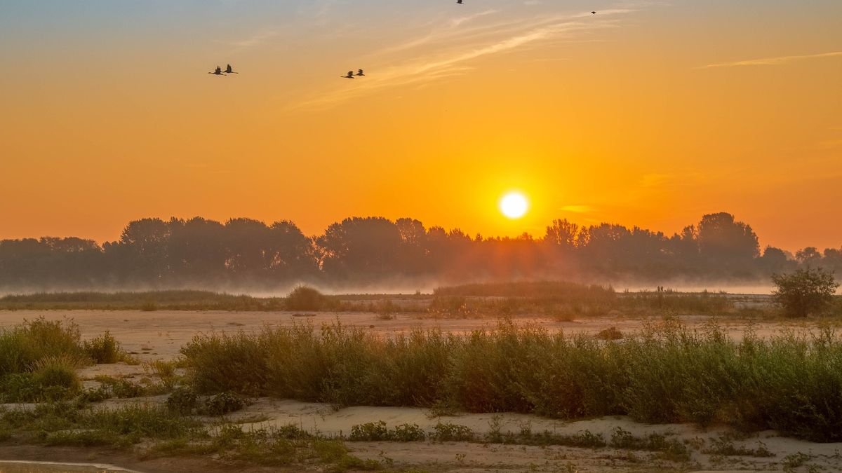 Czy są Państwo przygotowani do tego, że Wisła będzie okresowo wysychać - alarmują eksperci podczas szczytu klimatycznego TOGETAIR 2021 