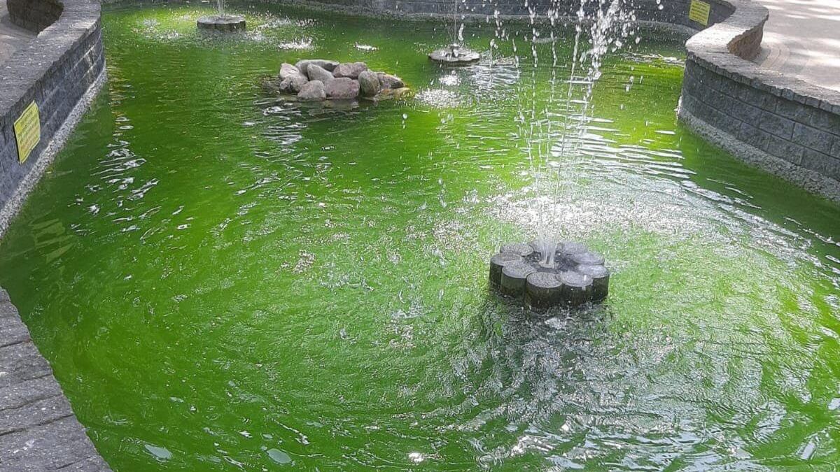 Zielona woda w fontannie na placu zabaw przy ul. Wallenroda