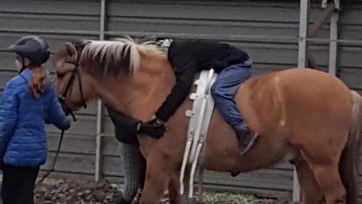 Trwa zbiórka na hipoterapię dla dzieci niepełnosprawnych