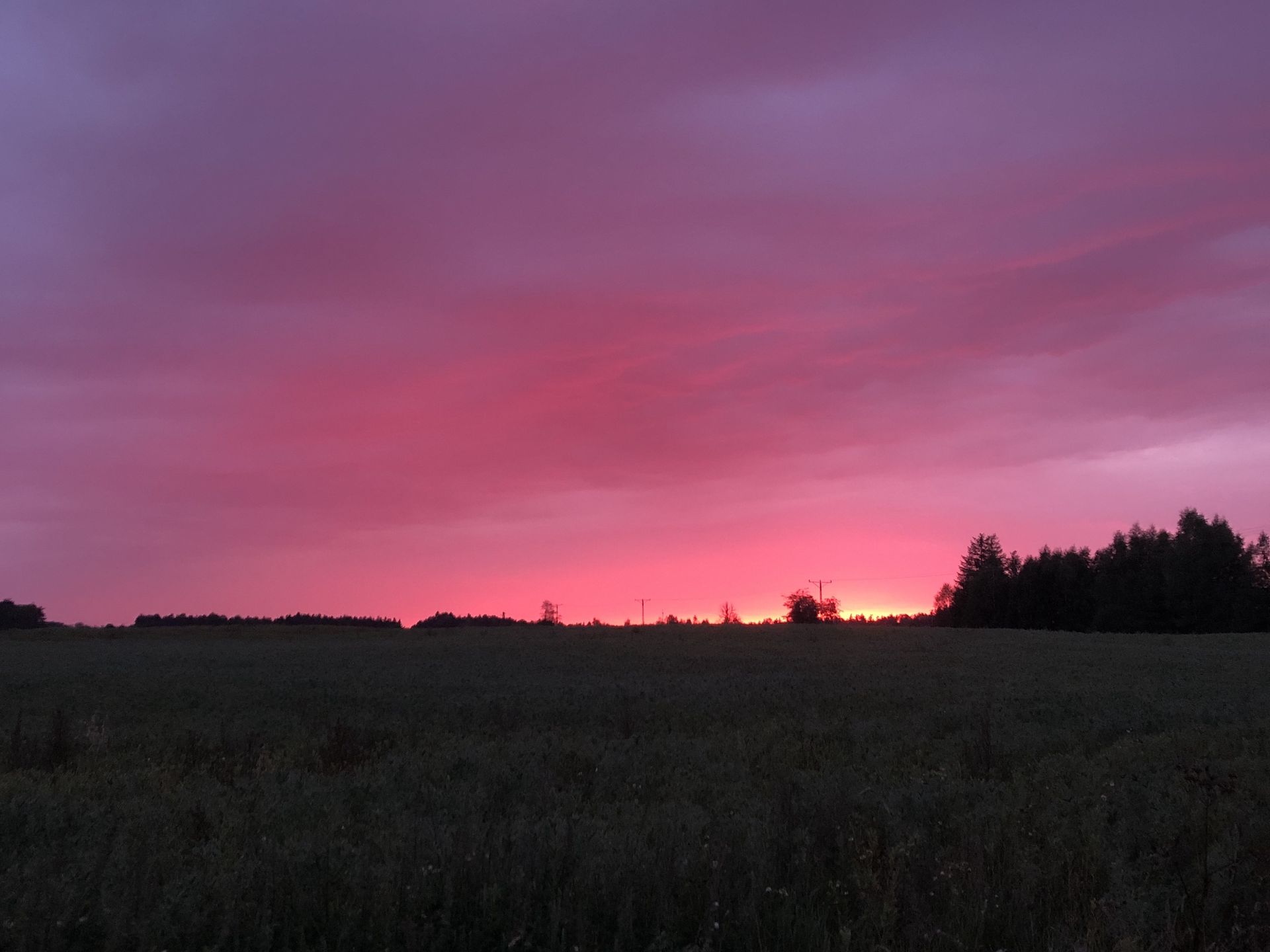 Różowe niebo nad Gdańskiem