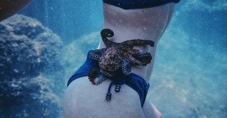 Linux 5.4 "Kleptomaniac Octopus" wydany w wersji stabilnej