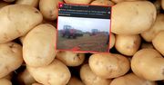 Wysypał 150 ton ziemniaków. Rolnik rozdaje je za darmo