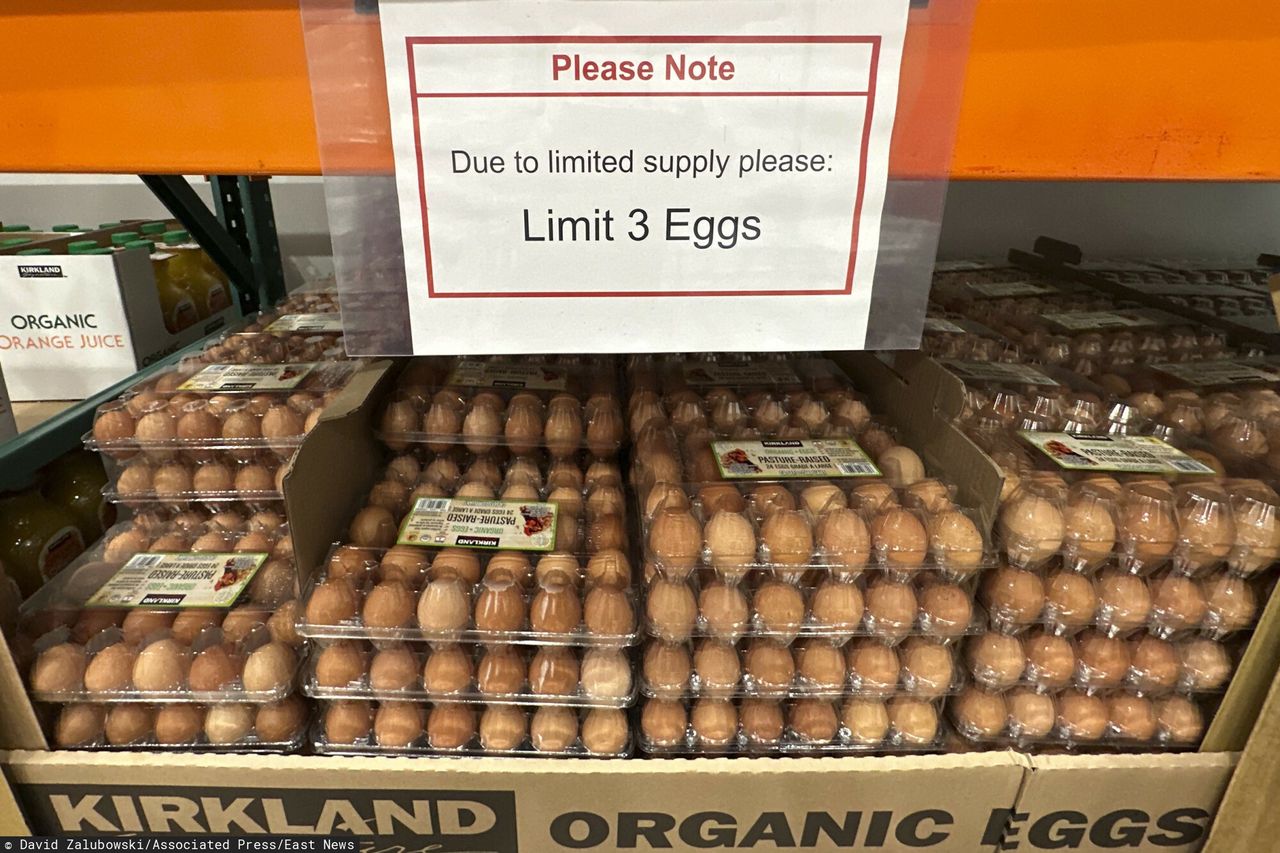 The Americans asked the Danes for eggs. Here's what they heard.