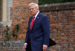 Donald Trump po incydentach z dronami. Polacy ocenili jego reakcję