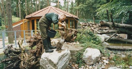 Koronawirus w Niemczech. Zoo nie wyklucza uboju zwierząt
