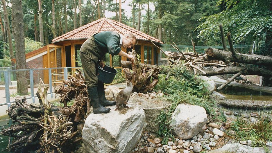 Ogród zoologiczny w Neumünster leży ok. 60 km na północ od Hamburga