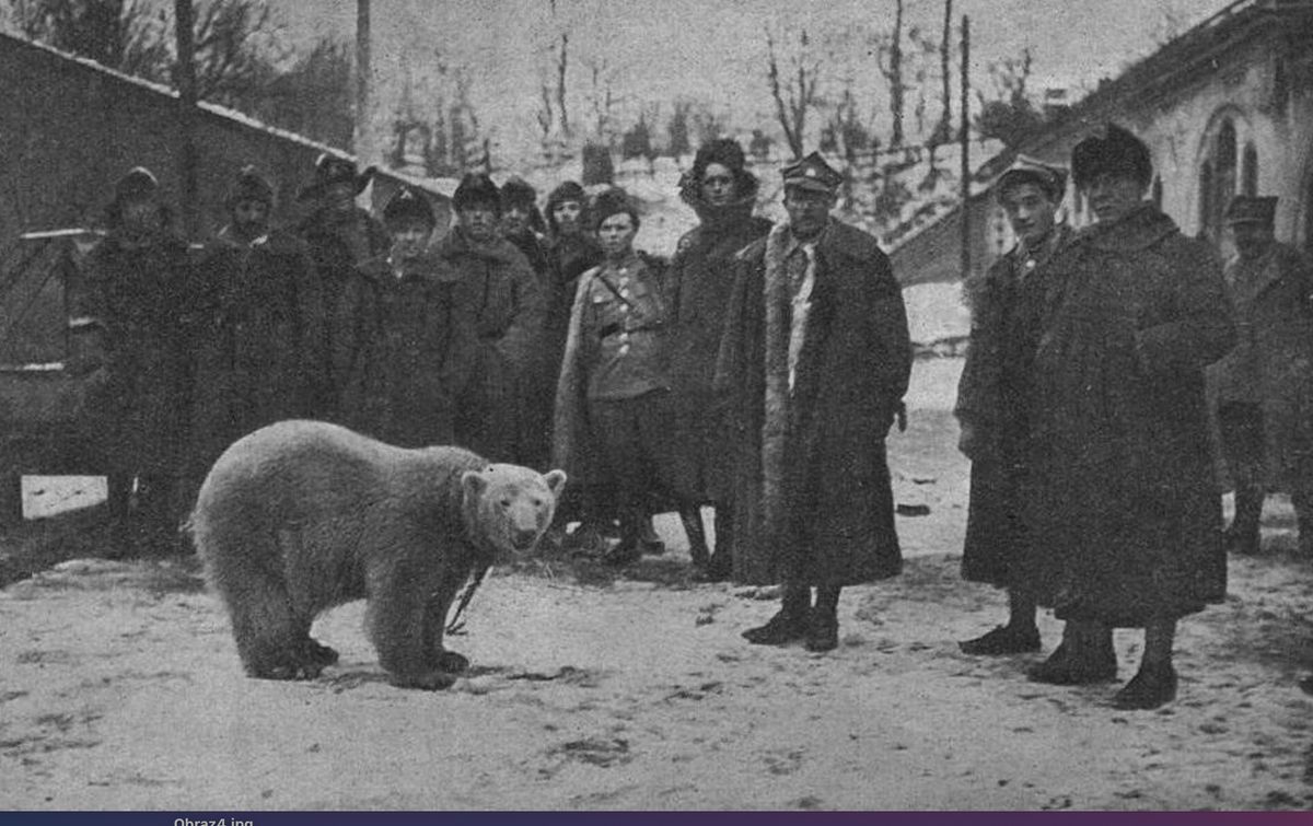 Polscy żołnierze z Baśką Murmańską. Nie do końca wiadomo, jak niedźwiedzica polarna "zaciągnęła się" do wojskowego oddziału, walczącego podczas I wojny światowej nad Morzem Białym (domena publiczna) 