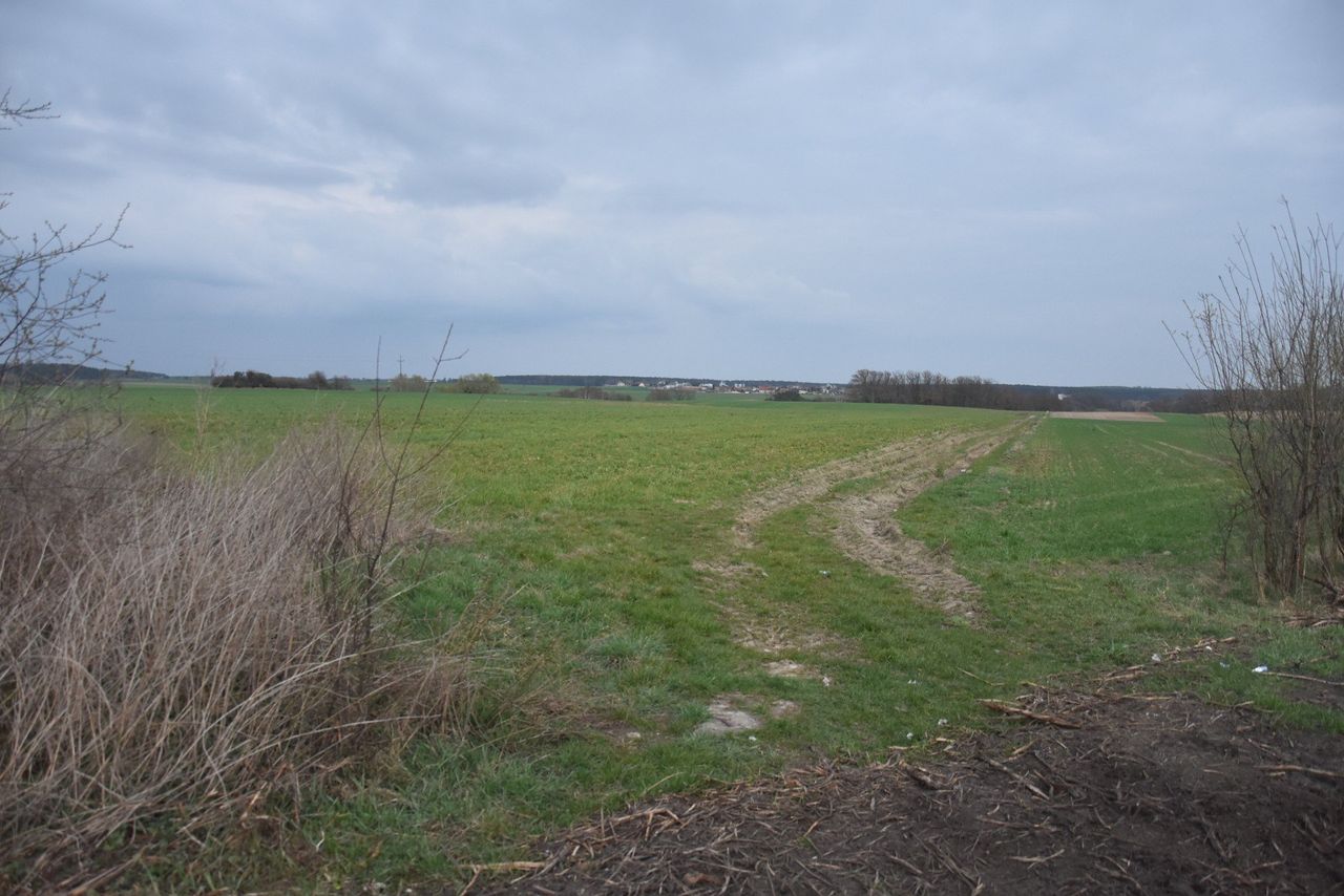 Nowe drogi do pól. Powstanie ponad 51 km nawierzchni