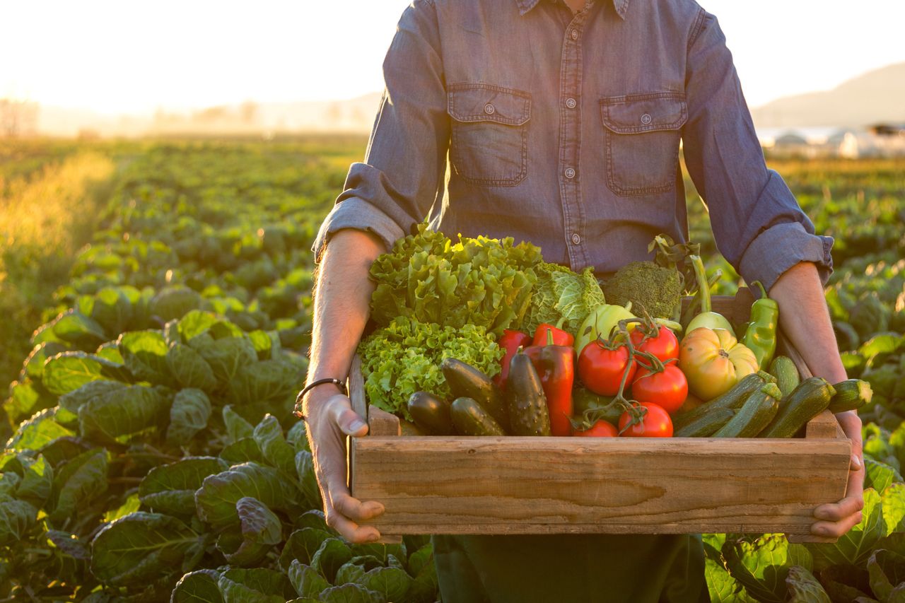 1 procent farm na świecie dysponuje 70 procentami globalnych pól uprawnych