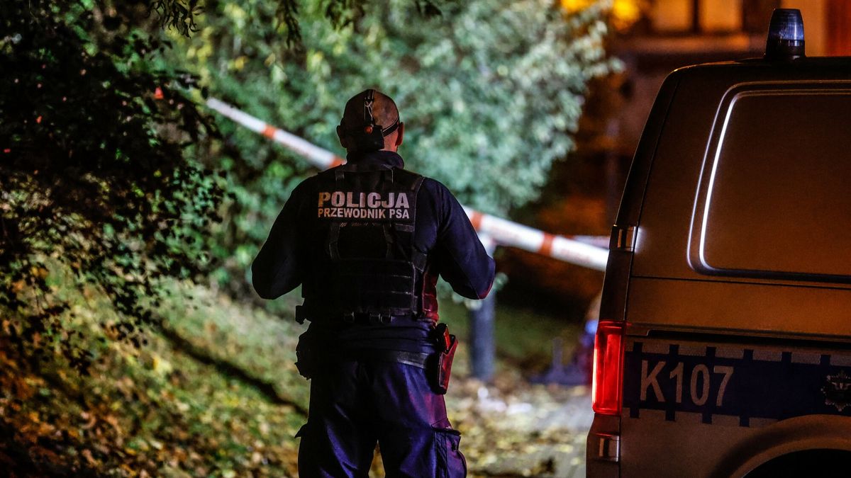 Nocna ob?awa na sprawc? ataku na 12-latk? w Rzeszowie
13.11.2023 RZESZOW OBLAWA ATAK NA 12 LATKE OFIARA ATAKU NOZEM SPRAWCY NIE ZLAPANO TRWA OBLAWA ULICA MIKOLAJCZYKA POLICJA DWUNASTOLATKA NOZOWNIK FOT KRZYSZTOF KAPICA