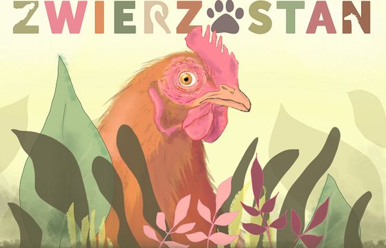 Dokumentalno-przyrodniczy program „Zwierzostan” w Ipla