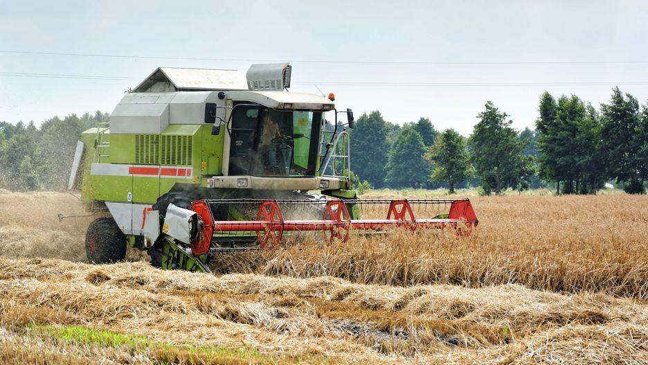 Pogoda utrudnia żniwa rolnikom