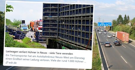 Setki kur na poboczu niemieckiej autostrady. Miały trafić do Polski