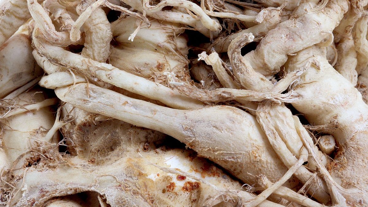 To warzywo smakuje jak mięso i ryby