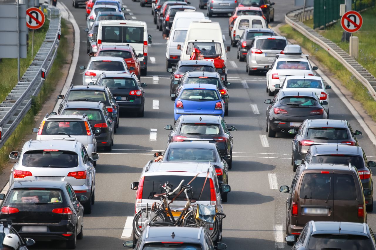 Holendrzy twierdzą, że kolor auta świadczy o IQ. Trzy barwy najgorsze