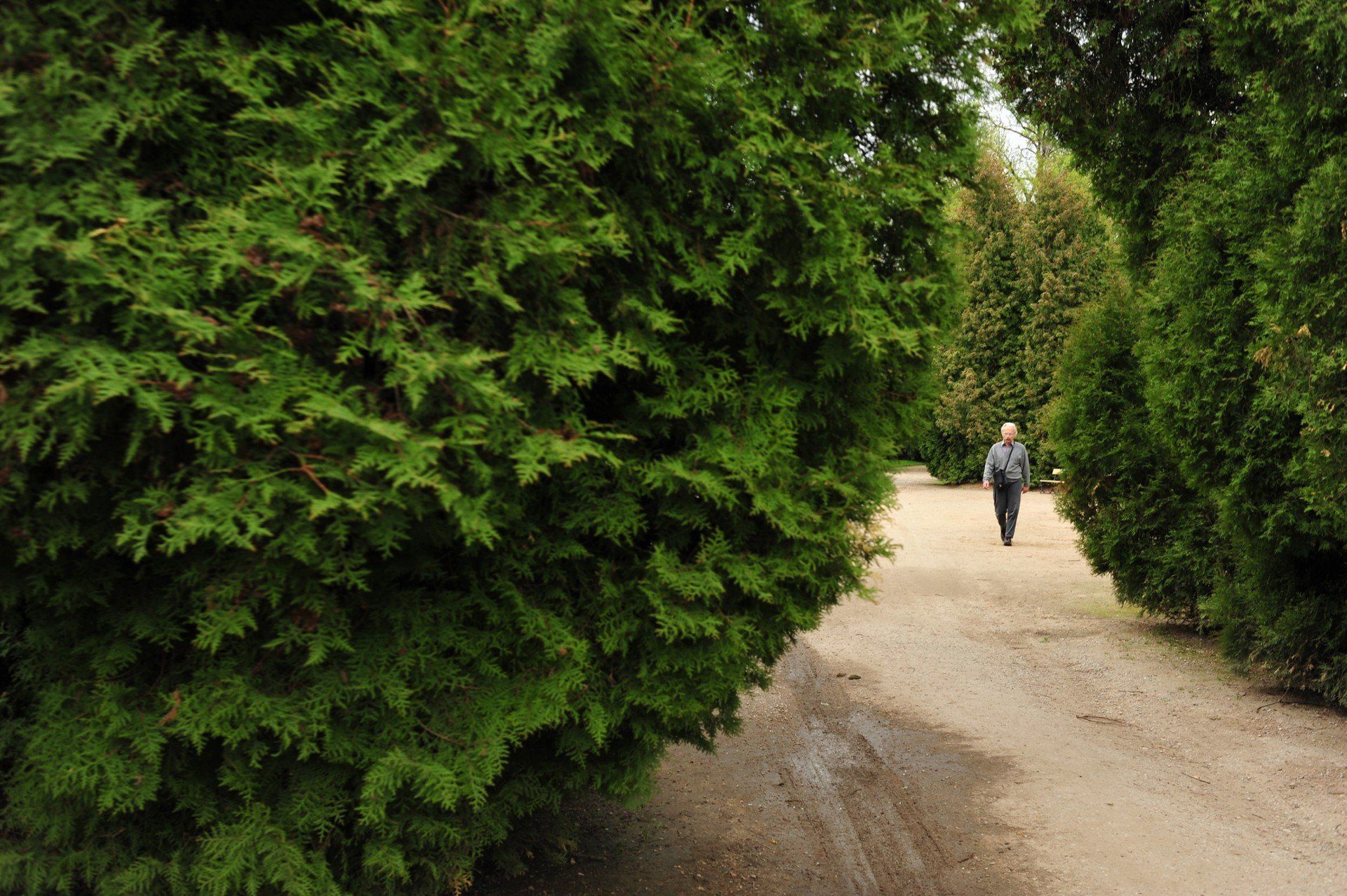Park Skaryszewski