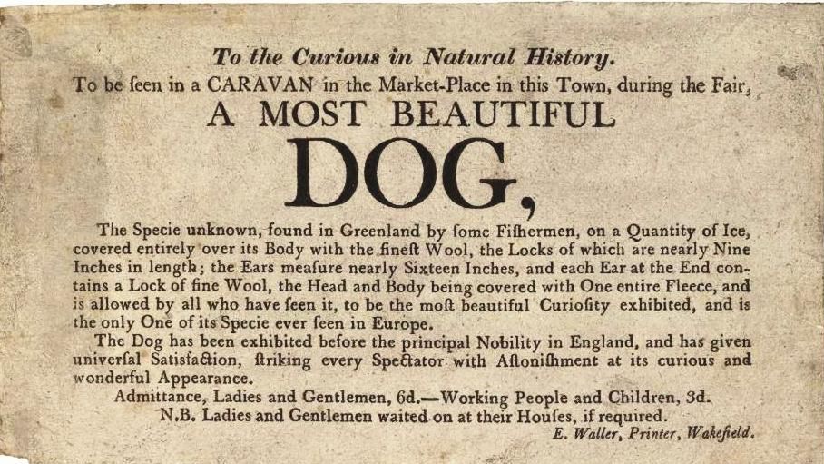 Jak to dawniej bywało? Reklamy z XVII i XVIII wieku 1