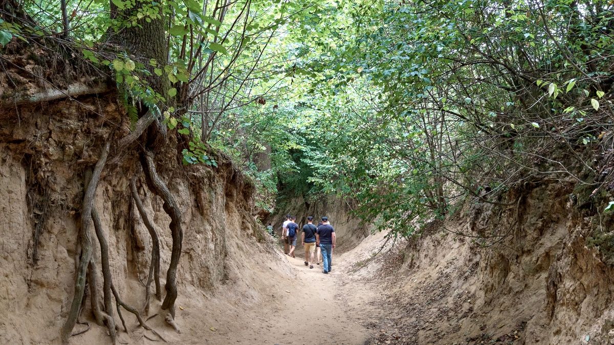 Wąwóz "Korzeniowy Dół"