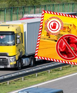 Odrażające odkrycie służb. 15 tys. ton papryki jechało do Polski