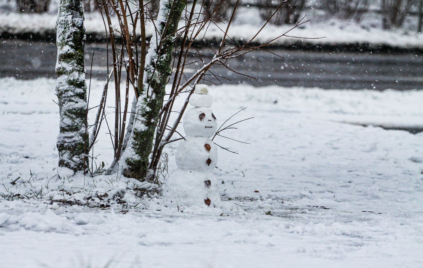 Olsztyn (woj. warmińsko-mazurskie) z dużymi opadami śniegu