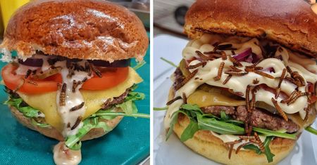Burgery i pizza z jadalnymi robakami już w Polsce. "Pierwsza taka oferta"