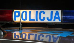 Zielona Góra. Zniszczył auto, uciekł w las