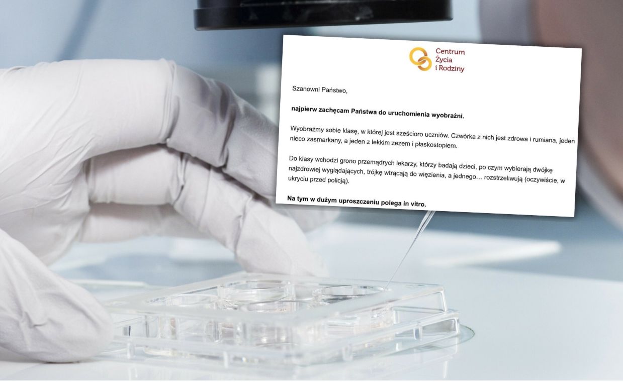 Skandaliczny wpis fundacji o in vitro. "Fanatyczni fundamentaliści"