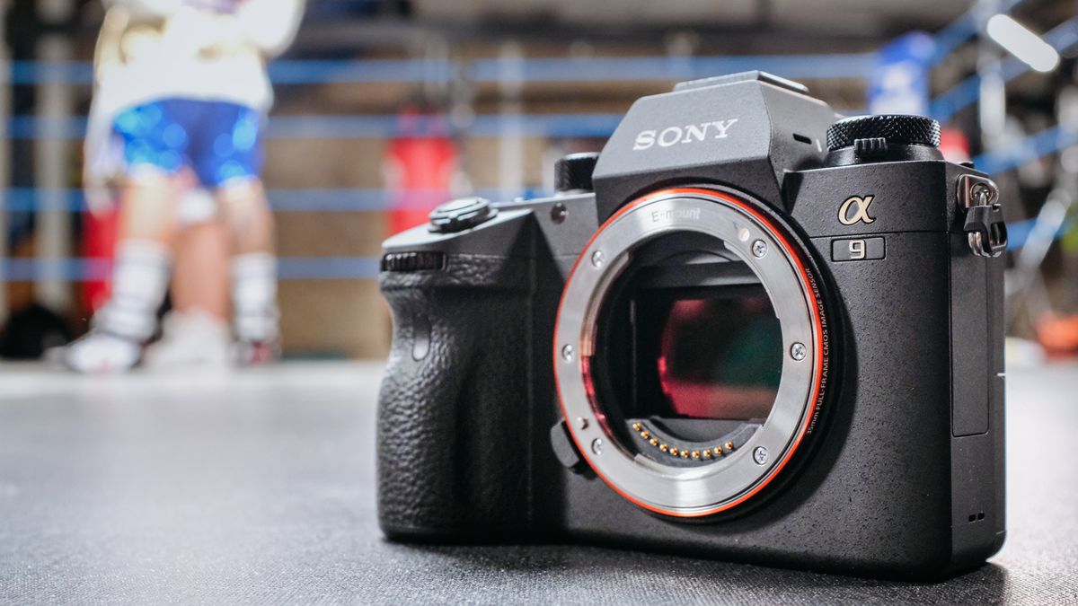 Sony A9 - pierwsze zdjęcia z profesjonalnego bezlusterkowca, który ma prędkość aż 20 kl./s 1