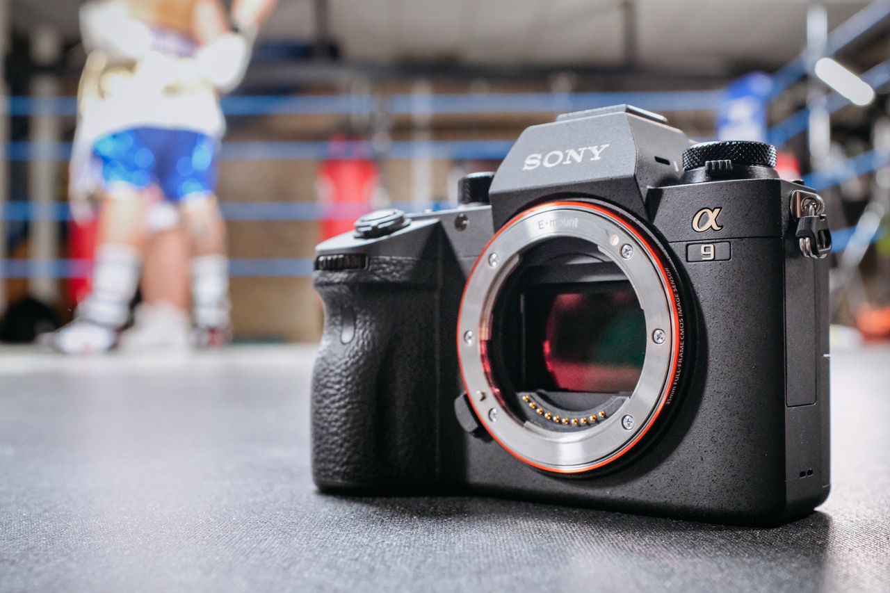 Sony A9 - pierwsze zdjęcia z profesjonalnego bezlusterkowca, który ma prędkość aż 20 kl./s