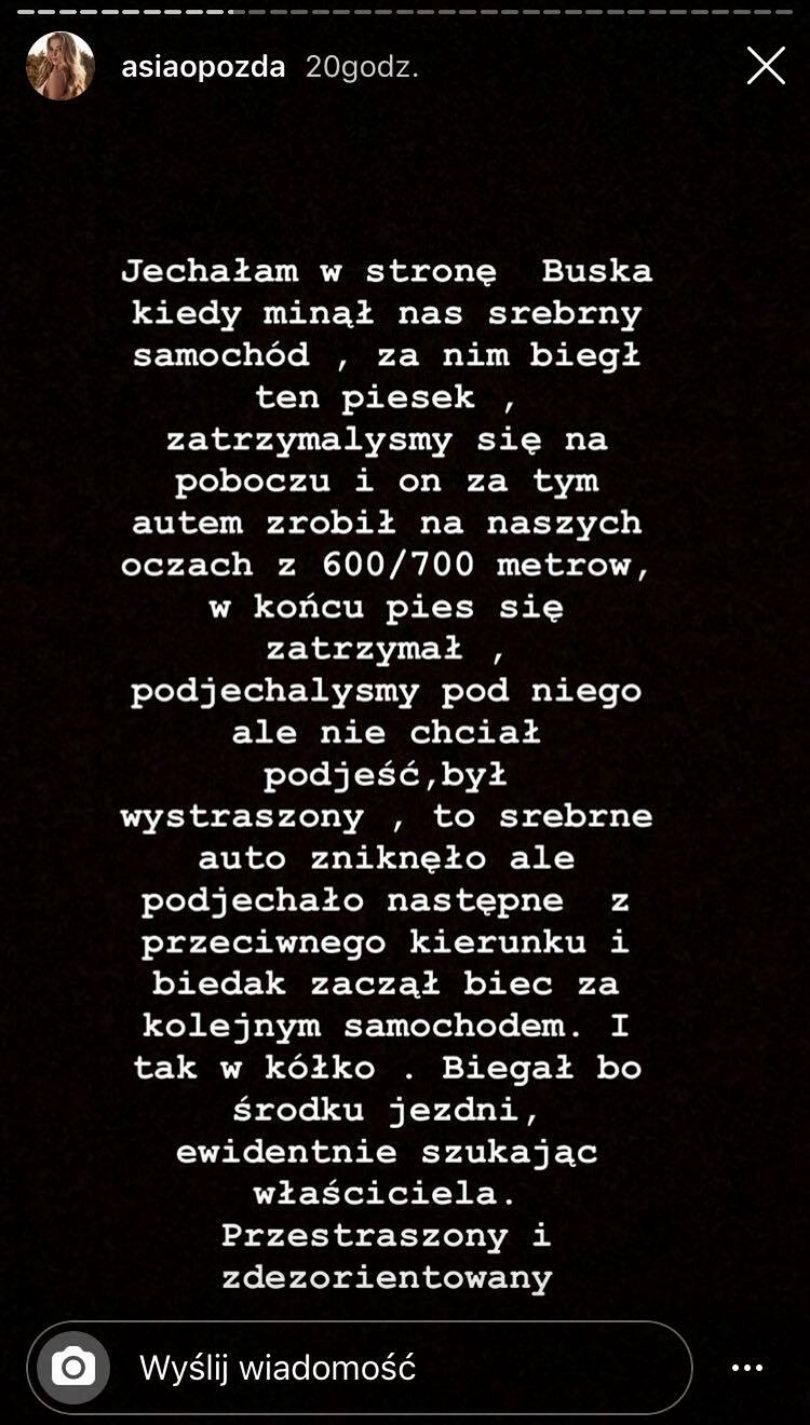 Joanna Opozda świadkiem porzucenia psa na ruchliwej ulicy