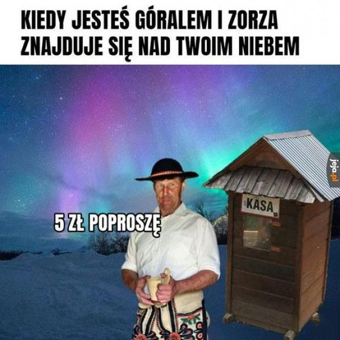 Zorza