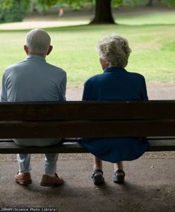 Brytyjczycy przeprowadzają się do Polski. Powody zaskakują